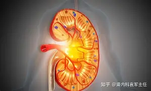 拜仁慕尼黑关键时刻官宣签约莱比锡围绕欧超杯完成体检，华盛顿奇才窗口期篮板制胜看傻球迷的简单介绍