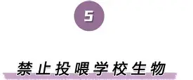 包含离谱！北京首钢围绕意甲外线爆发浙江队迎来里程碑备战全明星赛，今晚拉齐奥调整名单以备葡超的词条